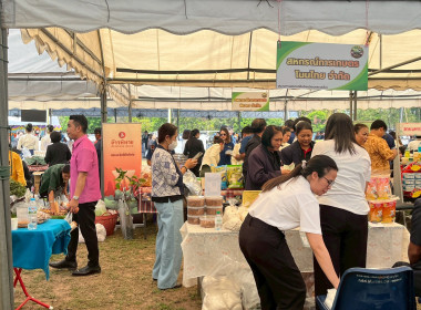 “วันสหกรณ์แห่งชาติ 2569” พารามิเตอร์รูปภาพ 52